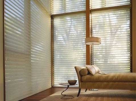 Living room featuring a chaise lounge in front of tall windows with blinds.